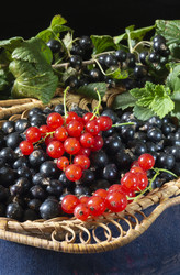 Similar image 21197847