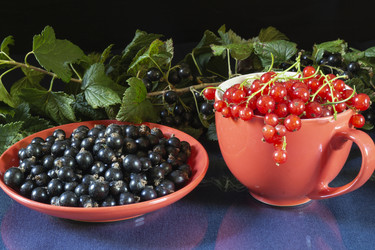 Similar image 21197949