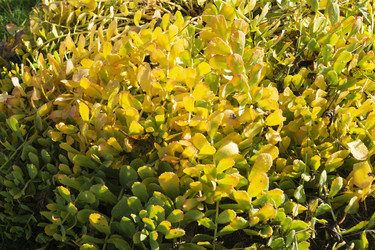 Similar image 21197954