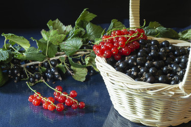 Similar image 21197957