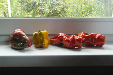 Similar image 21197965