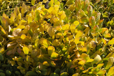 Similar image 21197969