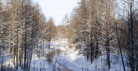 Similar image 21198088