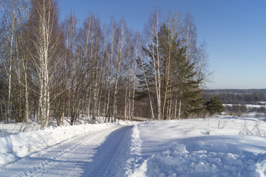 Similar image 21198118