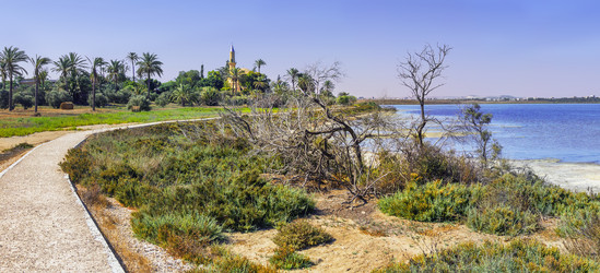 Similar image 21196296