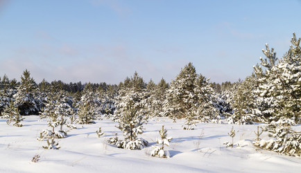 Similar image 21198338