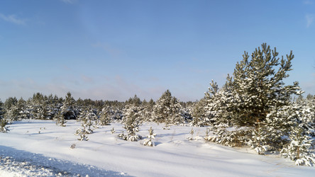 Similar image 21198340