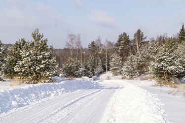 Similar image 21198344