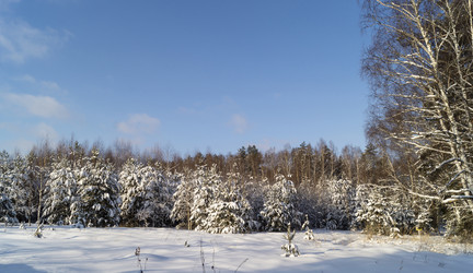 Similar image 21198345