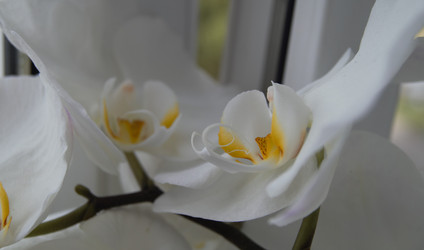 Similar image 21198353