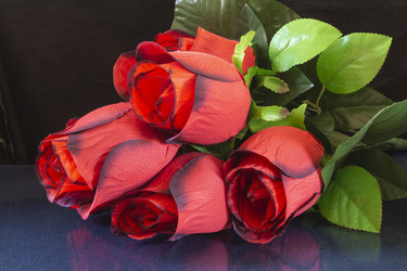 Similar image 21197862