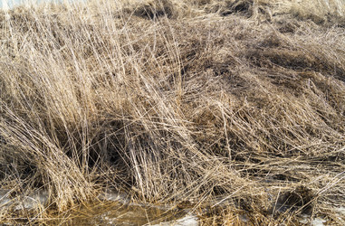 Similar image 21197995