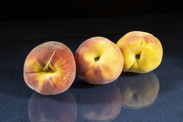 Similar image 21198007