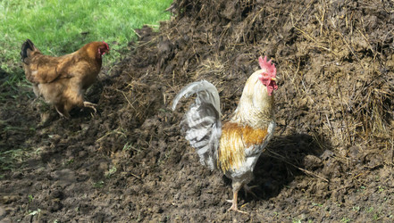 Similar image 21198009