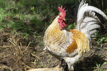 Similar image 21198011