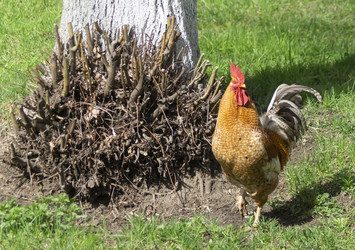 Similar image 21198129