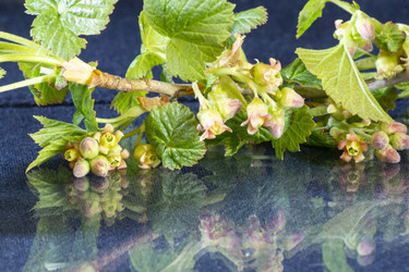 Similar image 21198131