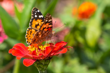 Similar image 21197221