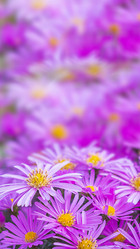 Similar image 21197223