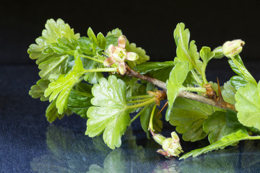 Similar image 21198137