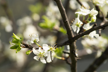 Similar image 21198139