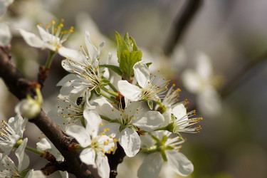 Similar image 21198141