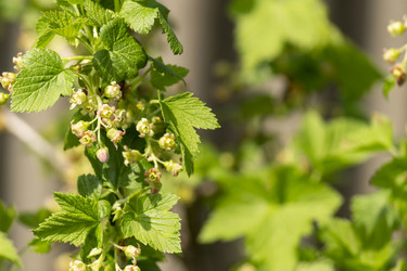 Similar image 21198143