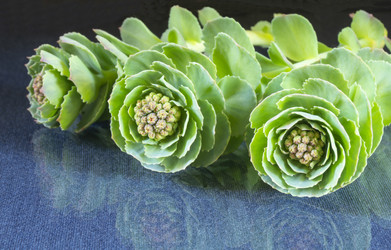 Similar image 21198145