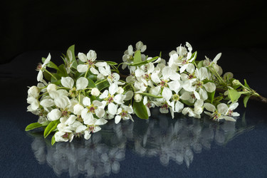 Similar image 21198149