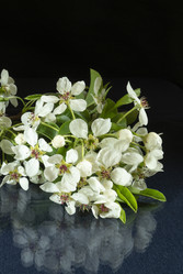 Similar image 21198151