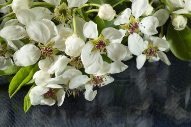 Similar image 21198153