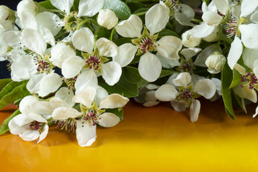 Similar image 21198155