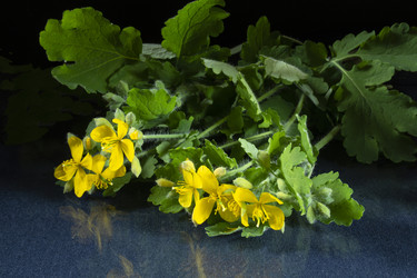 Similar image 21198157