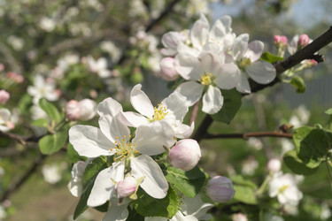 Similar image 21198163