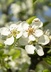 Similar image 21198165