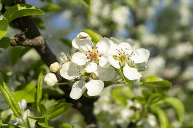 Similar image 21198167