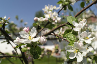 Similar image 21198171