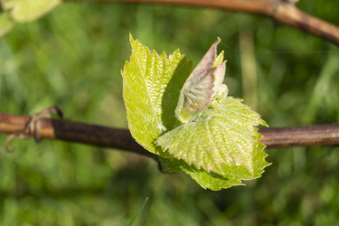 Similar image 21198173