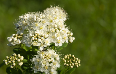 Similar image 21198181