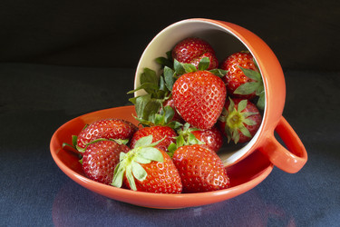 Similar image 21198183