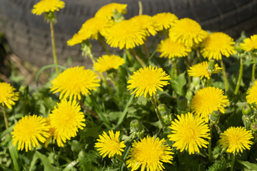 Similar image 21198186