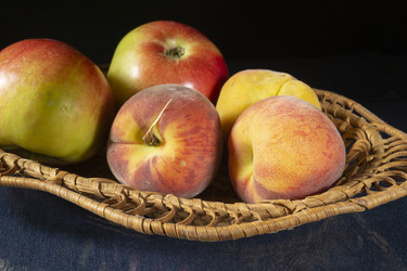 Similar image 21198188