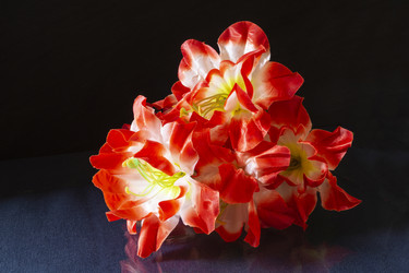 Similar image 21198372