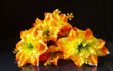 Similar image 21198374