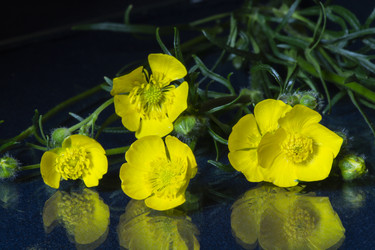 Similar image 21198393