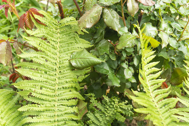 Similar image 21198400