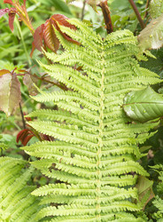 Similar image 21198401