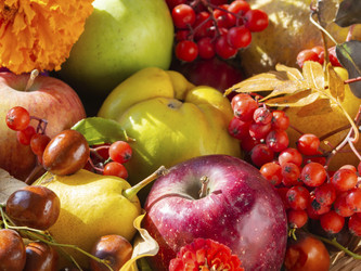 Similar image 21197228