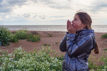 Similar image 21197231