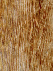 Similar image 21197234